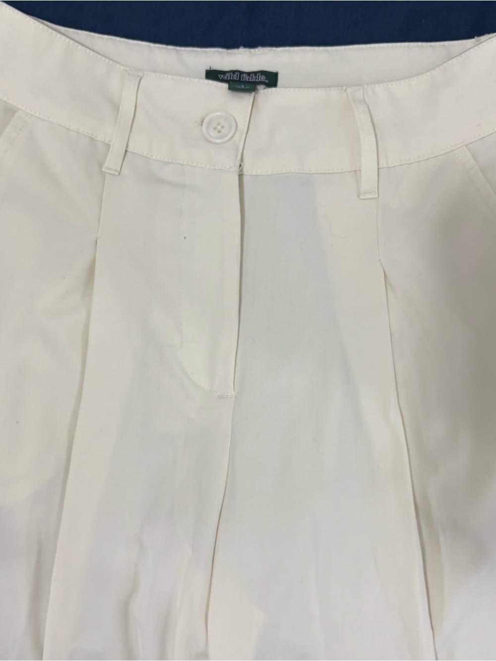 Wild Fable Women's Cream Pleated High Rise Pants